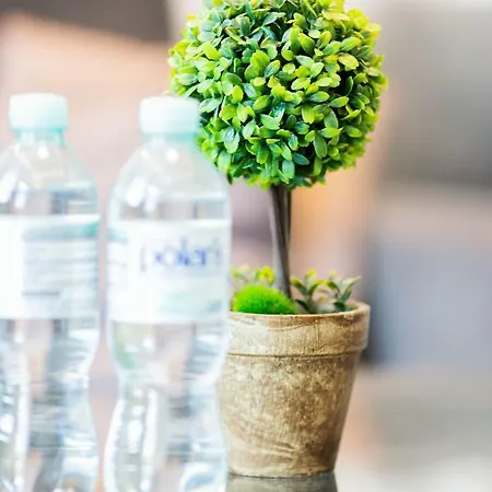 Pod Zamkiem * Łapalice